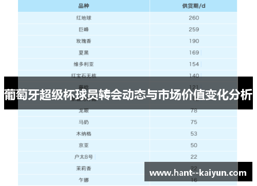葡萄牙超级杯球员转会动态与市场价值变化分析