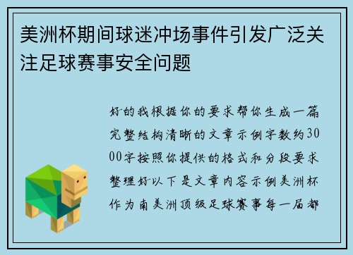 美洲杯期间球迷冲场事件引发广泛关注足球赛事安全问题 美洲杯期间球迷冲场事件引发广泛关注足球赛事安全问题